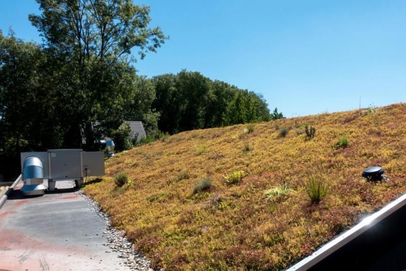 Les cl&eacute;s d'un bon entretien de toiture &agrave; Kaltenhouse