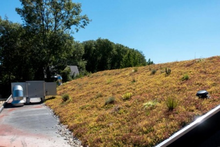 Les cl&eacute;s d'un bon entretien de toiture &agrave; Kaltenhouse