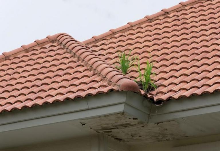 Problèmes d'étanchéité de la toiture à Kaltenhouse, quelles solutions ?